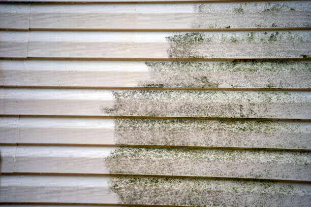 Best Dumpster Rental Services  in Chesaning, MI