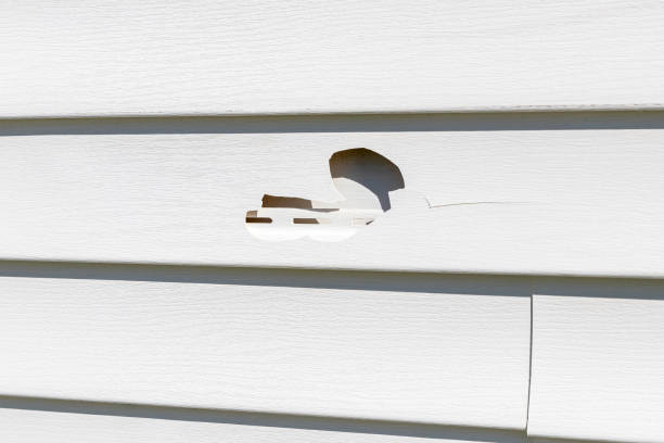 Moving and Downsizing Cleanouts in Chesaning, MI
