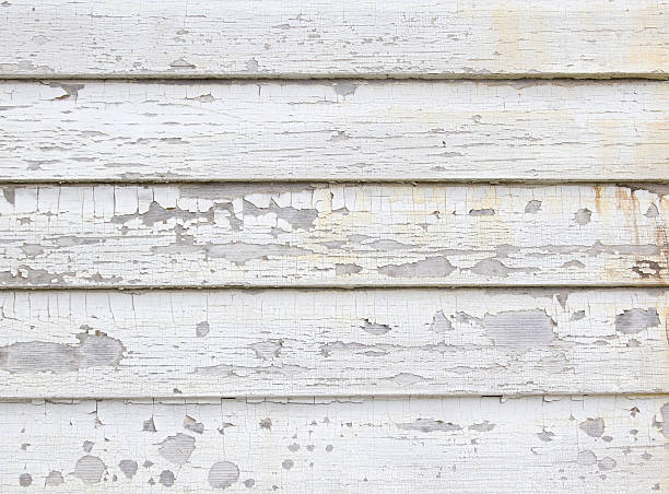 Best Same-Day Junk Removal Services  in Chesaning, MI