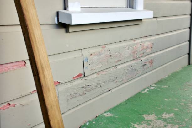 Best Mattress Disposal  in Chesaning, MI