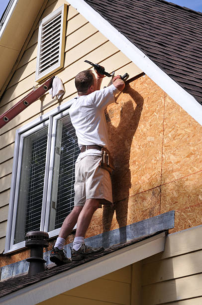 Best Attic Cleanout  in Chesaning, MI